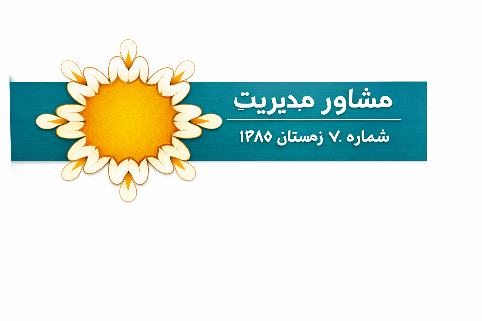 ای.آر.پی  چالش ها و ریسک ها